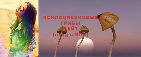СК Нефтегорск
