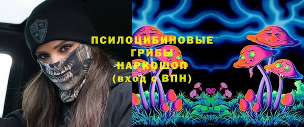 СК Нефтегорск
