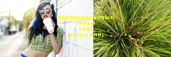 СК Нефтегорск