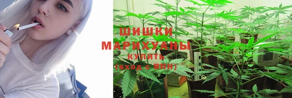 гидропоника Тында