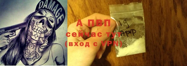 стафф Шали