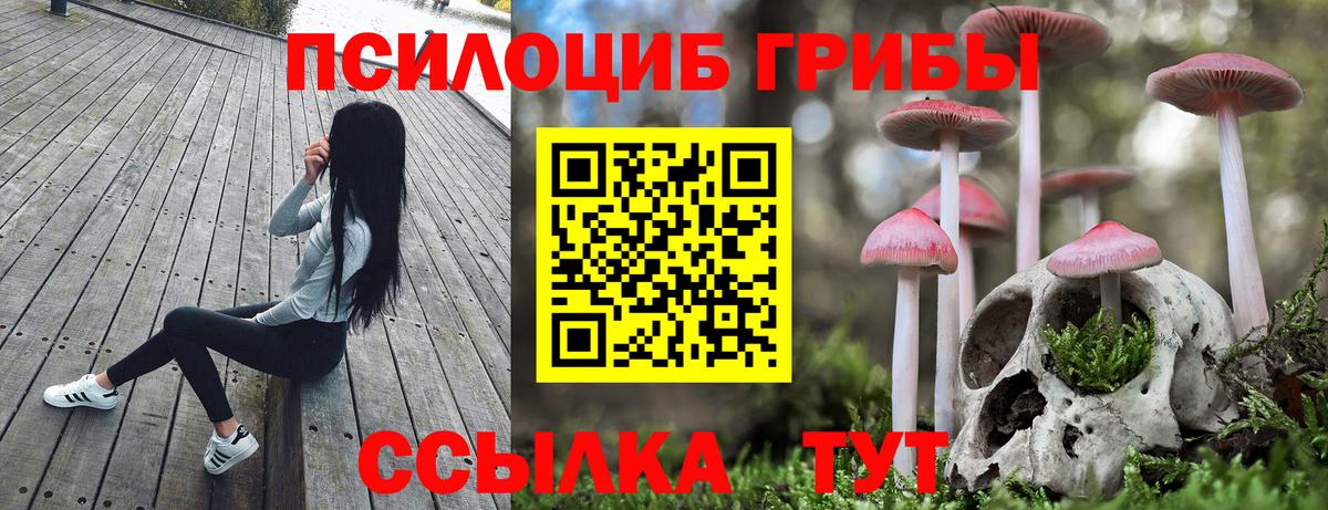 Псилоцибиновые грибы Psilocybine cubensis  Вход с VPN  Киржач 